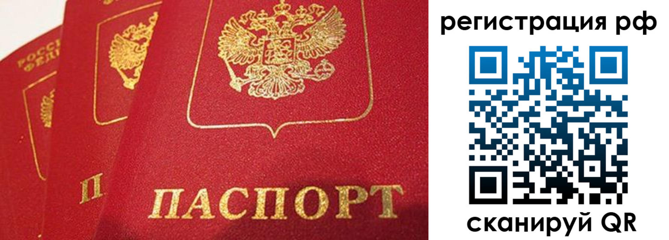 прописка поиск в Норильске